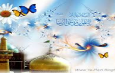 مسابقه کتابخوانی ده قصه از امام رضا