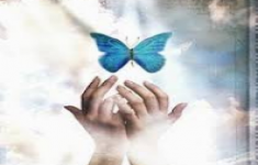 مسابقه کتابخوانی از ستایش تا پرورش