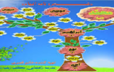 آزمون پیامبرشناسی